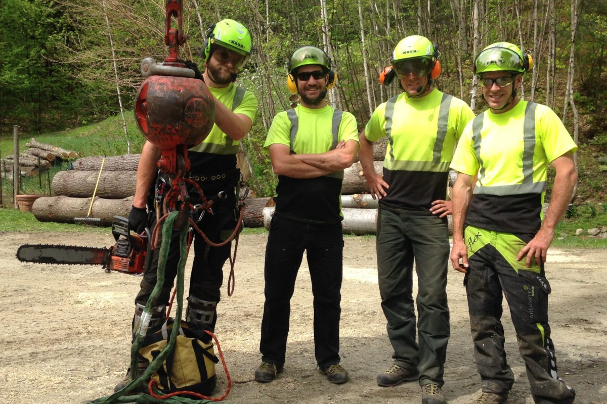 Tree Service Team and Groundsmen