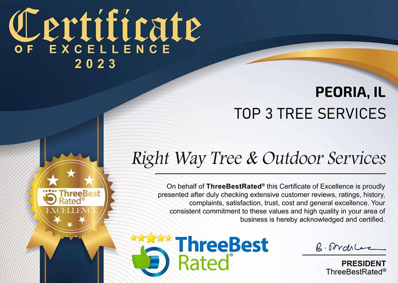 Certificate - Best Business of 2023 - ThreeBestRated