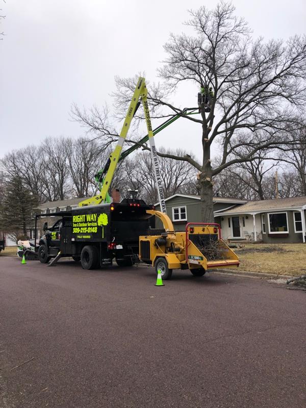 Right Way Tree Service Truck and Chipper for Tree Removal